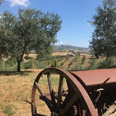 Appartamento Olivo Collecorvino Екстериор снимка