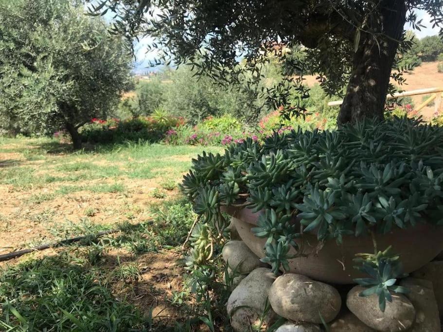 Appartamento Olivo Collecorvino Екстериор снимка
